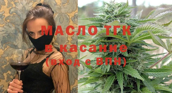 соль ск Дмитриев