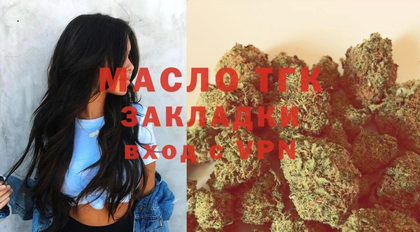 соль ск Дмитриев