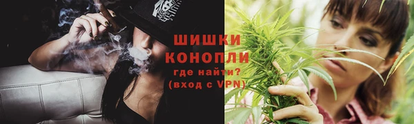 соль ск Дмитриев