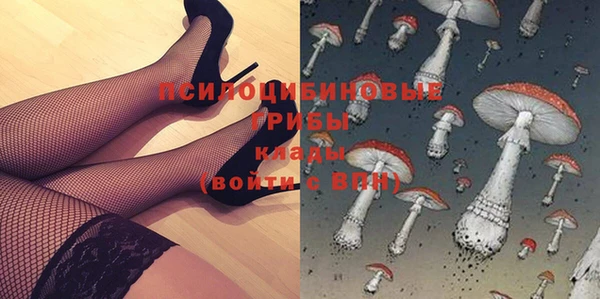 соль ск Дмитриев