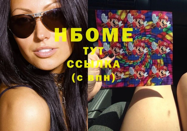 соль ск Дмитриев