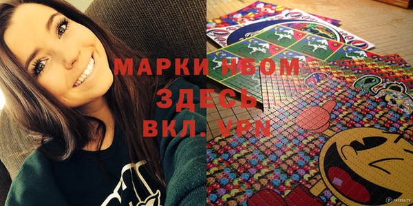 соль ск Дмитриев