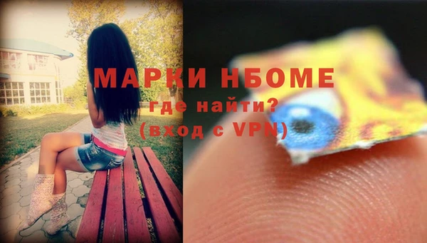 соль ск Дмитриев