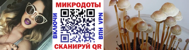 Галлюциногенные грибы Psilocybine cubensis  сколько стоит  Пикалёво 